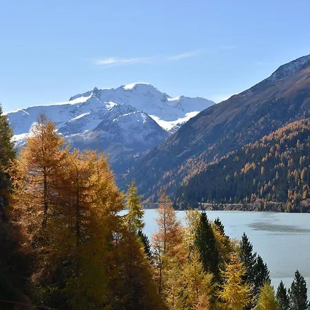 Haus Bergfrieden Διαμέρισμα *