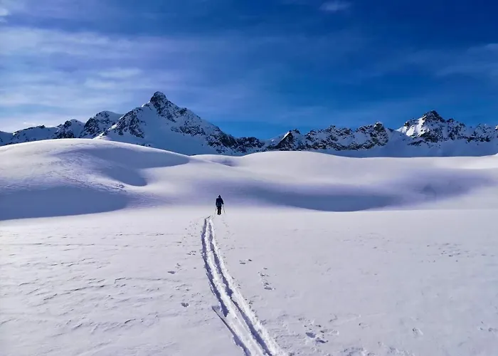 Daire Haus Bergfrieden Kaunertal