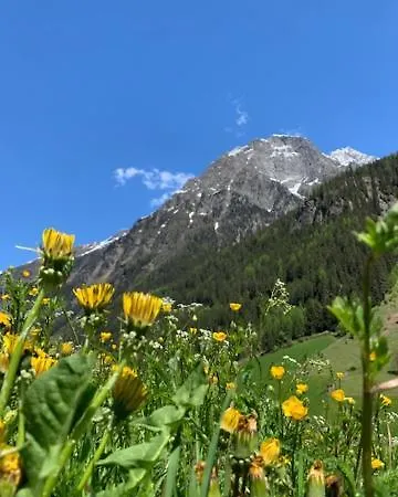 Apartment Haus Bergfrieden